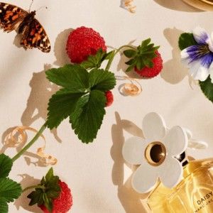 Meet your Posher, Laurie